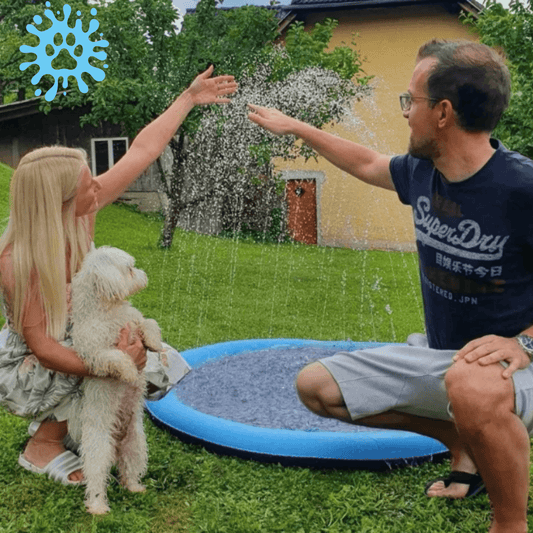Fluffy Splasher - Hundeplanschbecken