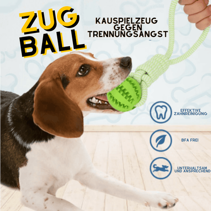 Zug Ball - Kauspielzeug gegen Trennungsangst - Steal Deals